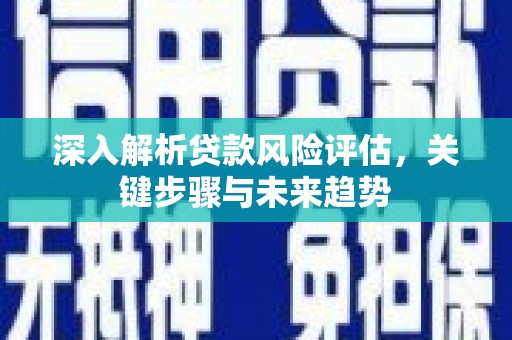 保税区深入解析贷款风险评估，关键步骤与未来趋势