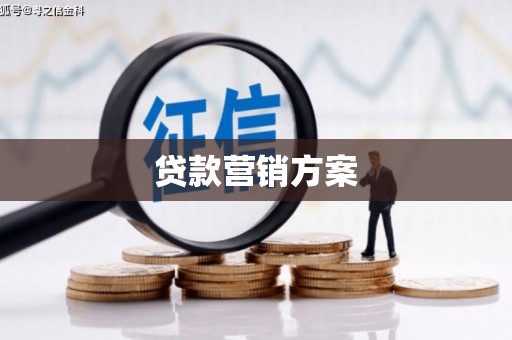 保税区贷款营销方案