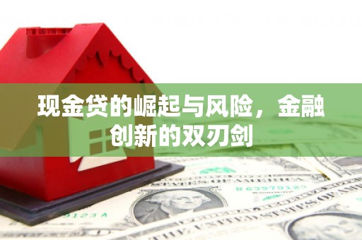 保税区现金贷的崛起与风险，金融创新的双刃剑