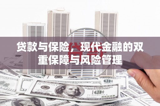保税区贷款与保险，现代金融的双重保障与风险管理