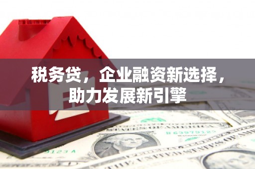 保税区税务贷，企业融资新选择，助力发展新引擎