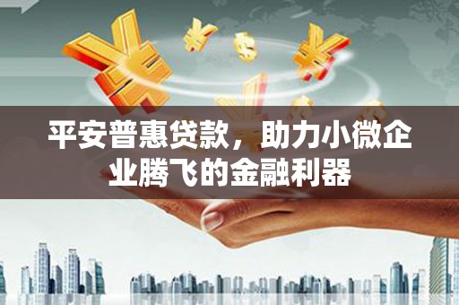 保税区平安普惠贷款，助力小微企业腾飞的金融利器