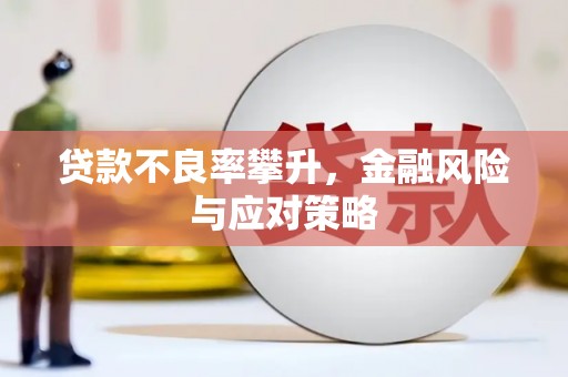保税区贷款不良率攀升，金融风险与应对策略