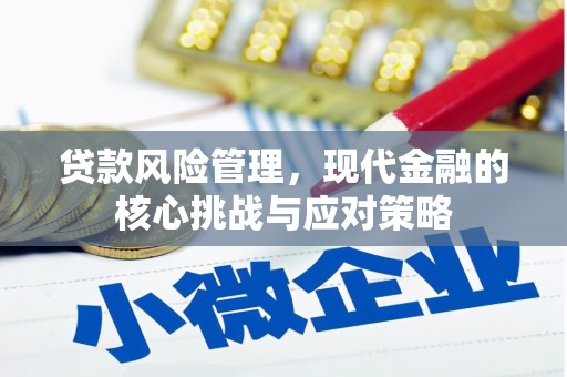 保税区贷款风险管理，现代金融的核心挑战与应对策略