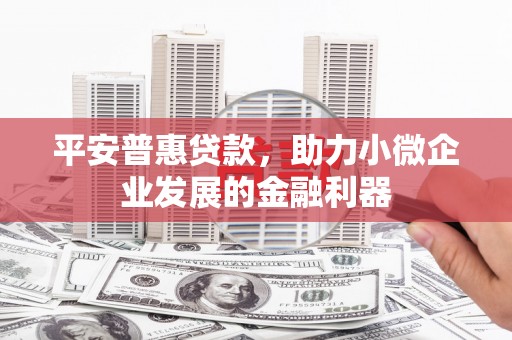 保税区平安普惠贷款，助力小微企业发展的金融利器