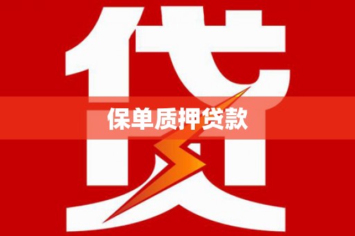 保税区保单质押贷款