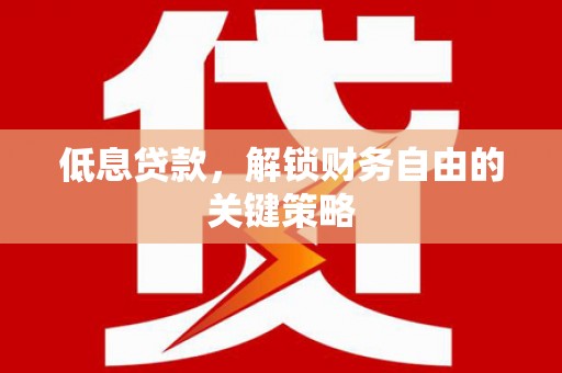 保税区低息贷款，解锁财务自由的关键策略