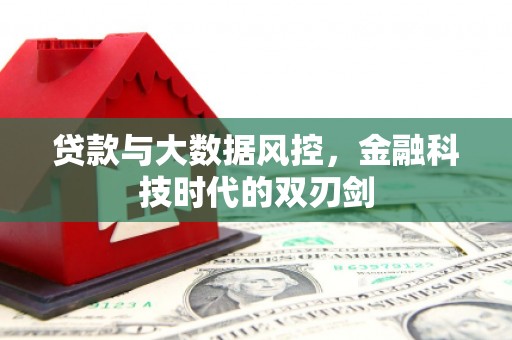 保税区贷款与大数据风控，金融科技时代的双刃剑