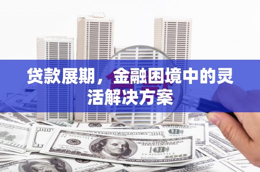 保税区贷款展期，金融困境中的灵活解决方案