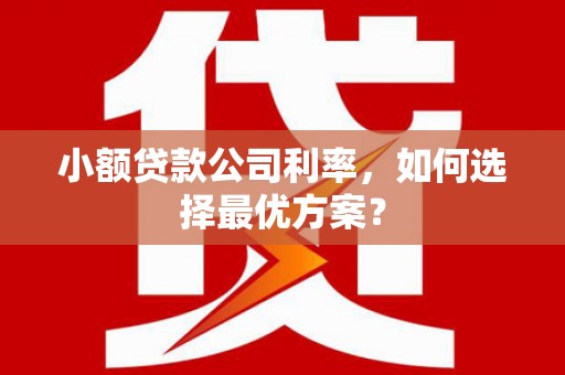 保税区小额贷款公司利率，如何选择最优方案？