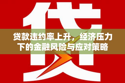 保税区贷款违约率上升，经济压力下的金融风险与应对策略