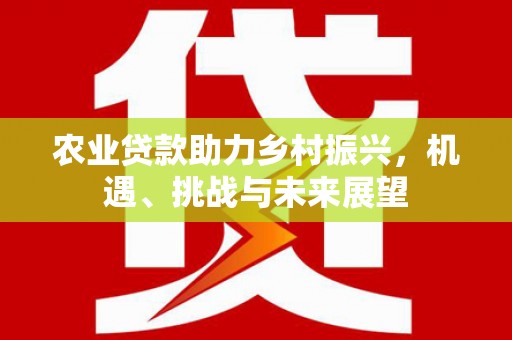 保税区农业贷款助力乡村振兴，机遇、挑战与未来展望