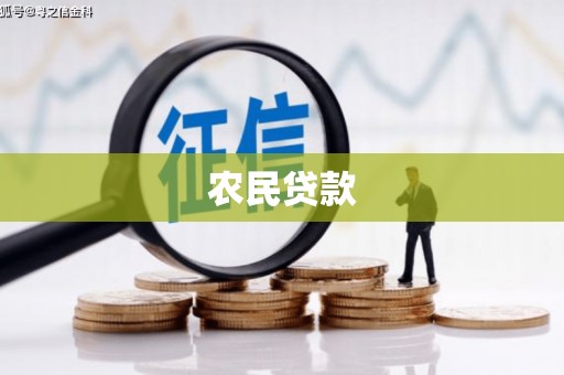 保税区农民贷款