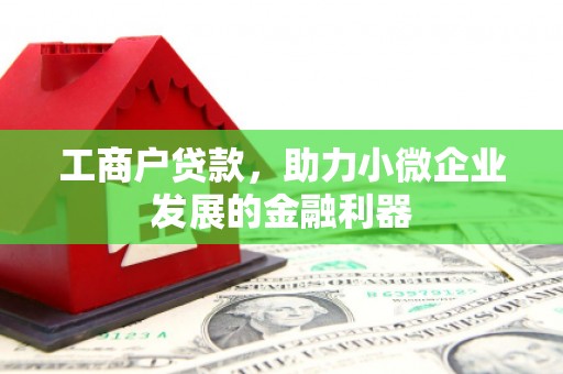 保税区工商户贷款，助力小微企业发展的金融利器