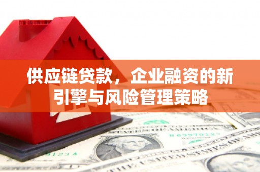 保税区供应链贷款，企业融资的新引擎与风险管理策略