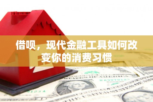 保税区借呗，现代金融工具如何改变你的消费习惯
