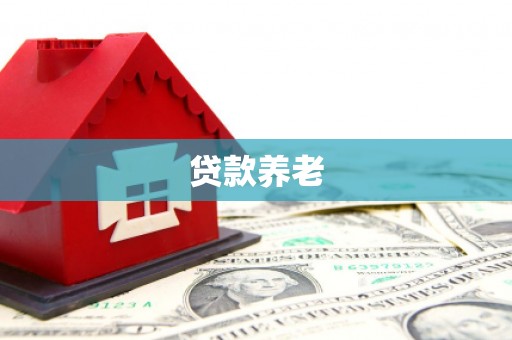 保税区贷款养老
