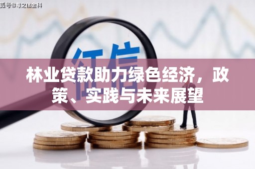 保税区林业贷款助力绿色经济，政策、实践与未来展望