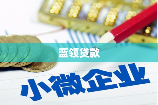 保税区蓝领贷款