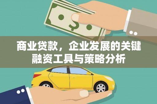 保税区商业贷款，企业发展的关键融资工具与策略分析