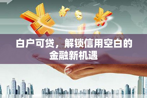 保税区白户可贷，解锁信用空白的金融新机遇