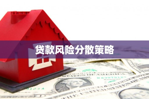 保税区贷款风险分散策略