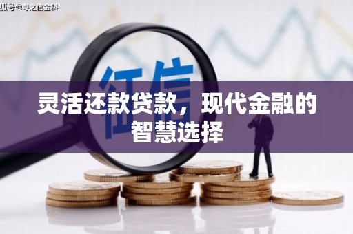 保税区灵活还款贷款，现代金融的智慧选择