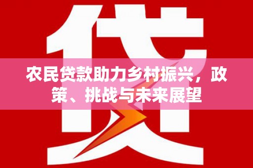 保税区农民贷款助力乡村振兴，政策、挑战与未来展望