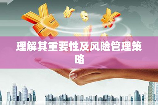 保税区理解其重要性及风险管理策略