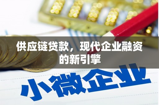 保税区供应链贷款，现代企业融资的新引擎
