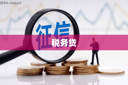 保税区税务贷