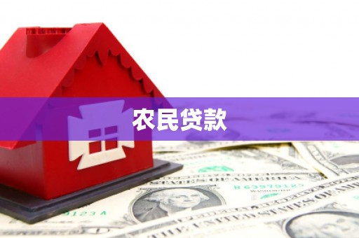 保税区农民贷款