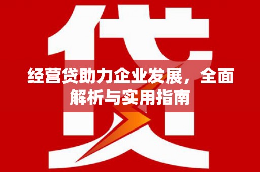 保税区经营贷助力企业发展，全面解析与实用指南