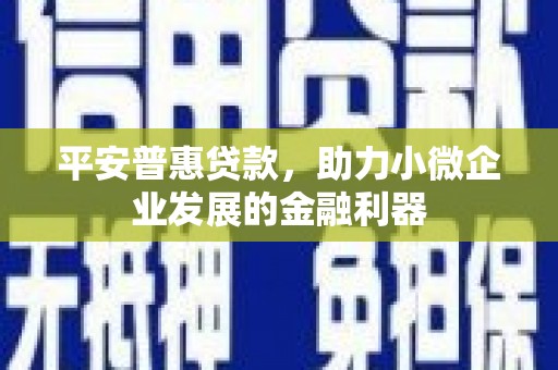 保税区平安普惠贷款，助力小微企业发展的金融利器