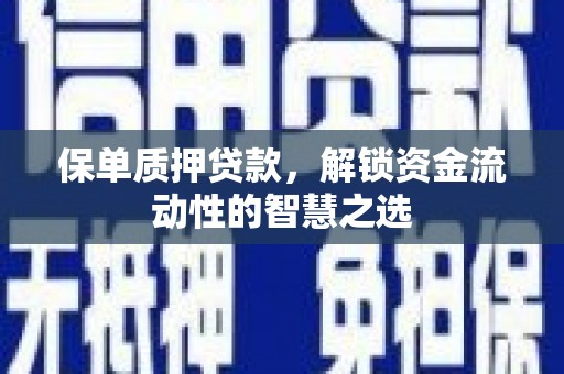 保税区保单质押贷款，解锁资金流动性的智慧之选