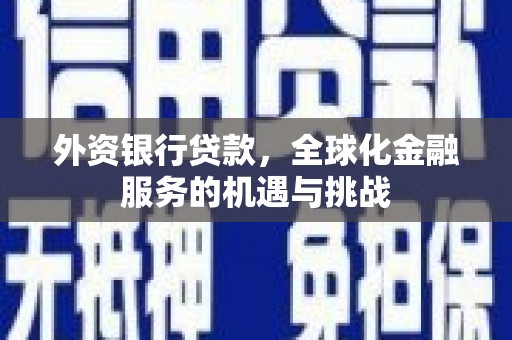 保税区外资银行贷款，全球化金融服务的机遇与挑战
