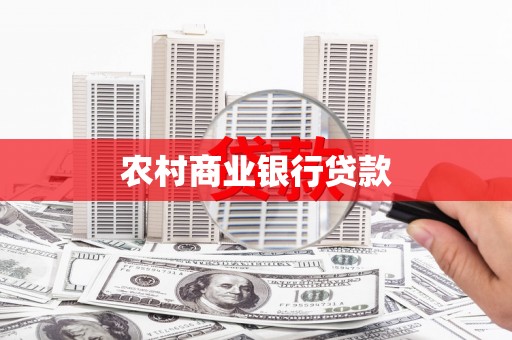 保税区农村商业银行贷款