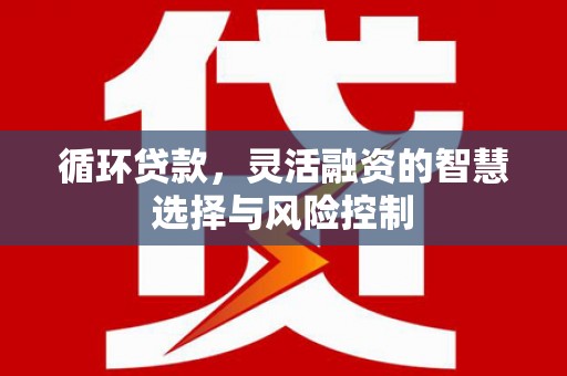 保税区循环贷款，灵活融资的智慧选择与风险控制