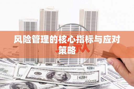 保税区风险管理的核心指标与应对策略
