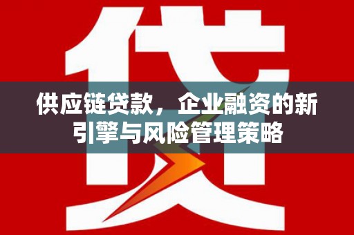 保税区供应链贷款，企业融资的新引擎与风险管理策略