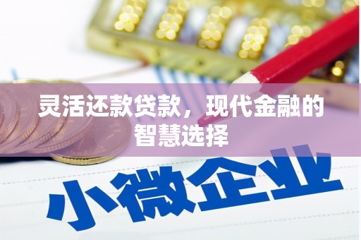 保税区灵活还款贷款，现代金融的智慧选择