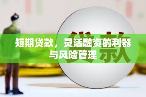 保税区短期贷款，灵活融资的利器与风险管理