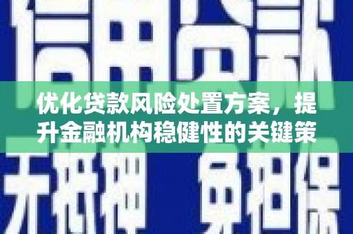 保税区优化贷款风险处置方案，提升金融机构稳健性的关键策略