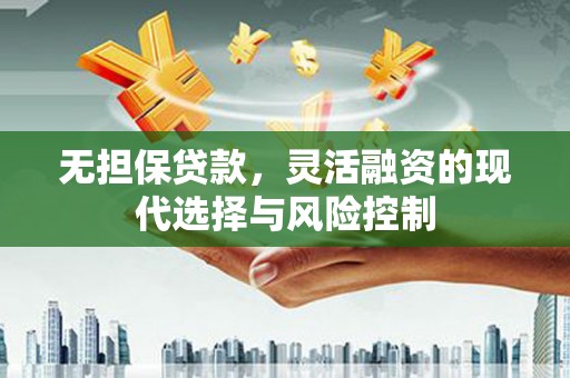 保税区无担保贷款，灵活融资的现代选择与风险控制