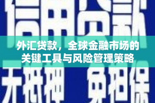 保税区外汇贷款，全球金融市场的关键工具与风险管理策略