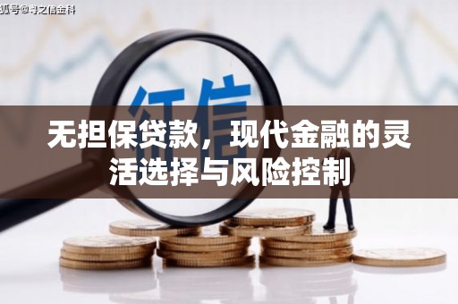 保税区无担保贷款，现代金融的灵活选择与风险控制