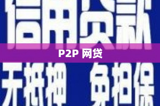 保税区P2P 网贷