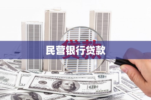 保税区民营银行贷款
