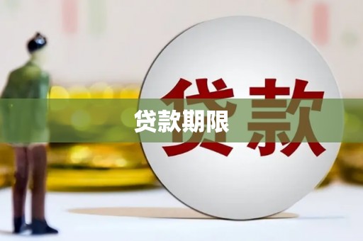保税区贷款期限