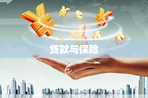 保税区贷款与保险